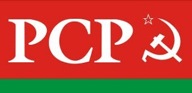 pcp-logo (2)